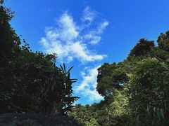 -梧桐山风景名胜区