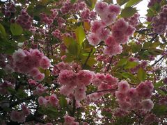 -仙海旅游度假区