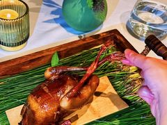 -蝶舍·MAISON PAPILLON