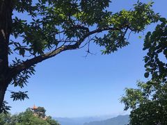 -塔云山