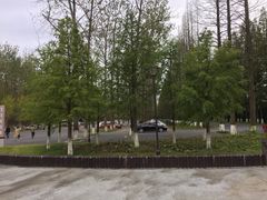 -黄海国家森林公园