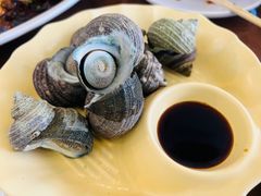 -魚當家