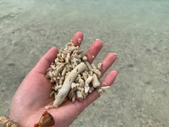 -三亚蜈支洲岛旅游区