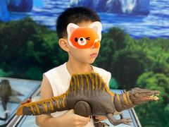 -TOYSRUS玩具反斗城(上海万象城店)