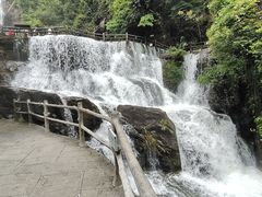 -鼎湖山风景区