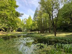 -上海滨江森林公园