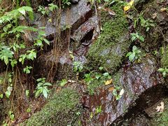 -燕子河大峡谷天坑仙境