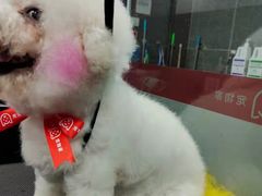 -宠物家(大兴旧宫店)