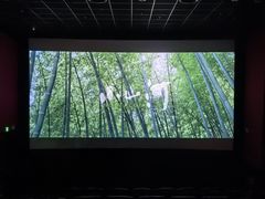 -万达影城(IMAX激光铁西万达广场店)