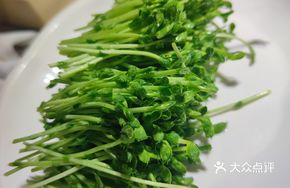 Fresh Living Mung Bean Sprouts