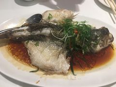 -至潮餐厅精致粤菜·活鲈鱼·走地鸡(珠江新城店)