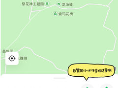 -贵州百里杜鹃风景名胜区