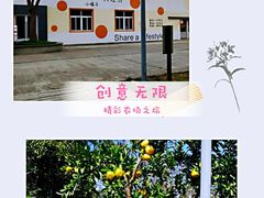 -前小桔亲子创意农场·草莓采摘·露营烧烤