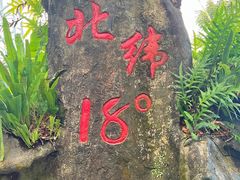 -呀诺达热带雨林
