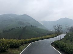 -帐篷客·溪龙茶谷度假酒店