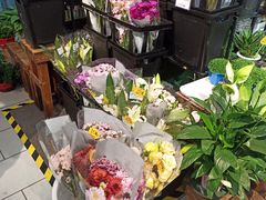 -山东嘉汇文化用品有限公司张店凤凰国际分公司(新村西路店)