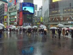 -涩谷区
