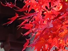 -瑞幸咖啡(新兴广场店)