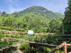 -藏龙百瀑风景区