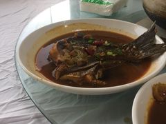-天乐农家鱼头王(天目湖店)