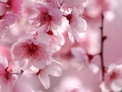 -白塘生态植物园