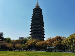 -红梅公园