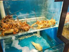 水产区-小天妃海鲜酒楼(西马庄店)