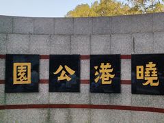 -晓港公园