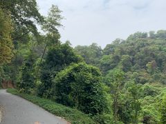 -广州市白云山风景名胜区
