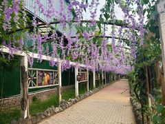 -呀路古热带植物园