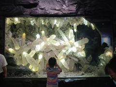 -湖南省地质博物馆