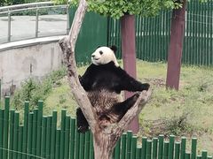 -沈阳森林动物园