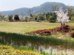 -径山花海