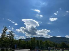 -北京市车辆管理所京海分所