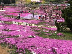 -棒棰岛宾馆景区