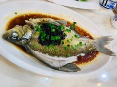 榄角蒸边鱼-湛江渔港·大排档(乐园路总店)