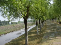 -艾溪湖湿地公园