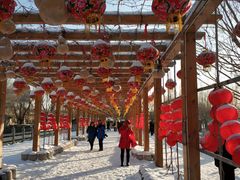 -葫芦古镇关东民俗雪乡