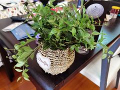 -双季花艺园艺市场(浦东店)