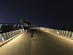 -南京眼步行桥