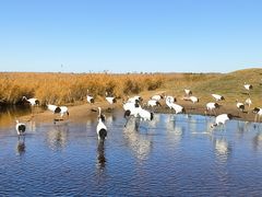 -黑龙江扎龙生态旅游区