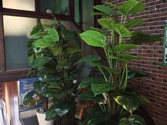 -爱上层楼咖啡馆(为公桥店)