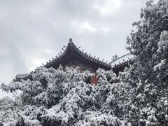 -南京钟山宾馆(江苏省会议中心)