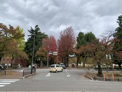 -金泽21世纪美术馆