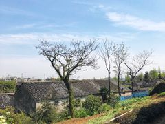 -许家山