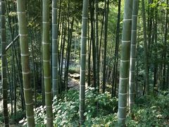 -山沟沟景区
