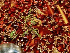 -味之绝热血美蛙鱼火锅(中坝店)