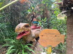 -呀路古热带植物园