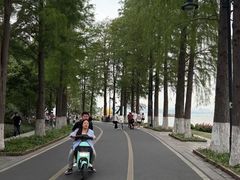 -东湖落雁景区