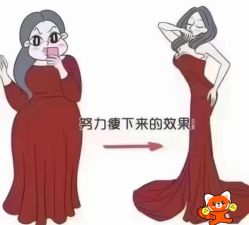 -Fundi张玉珊修身堂·indiba·BTL科技瘦身